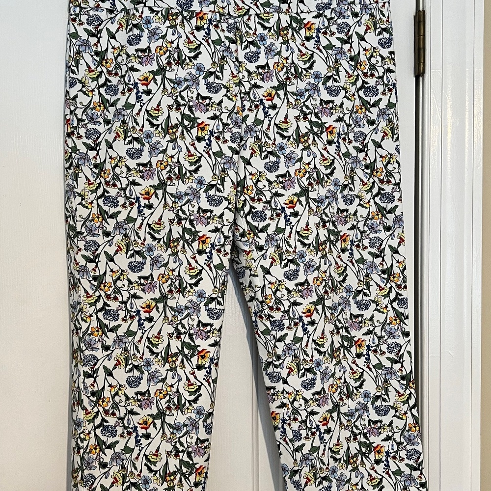 Elliott Lauren pants size 14